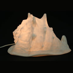 Sandstone Helmet Shell Lamp - Modern Coastal by Contrast Inc.