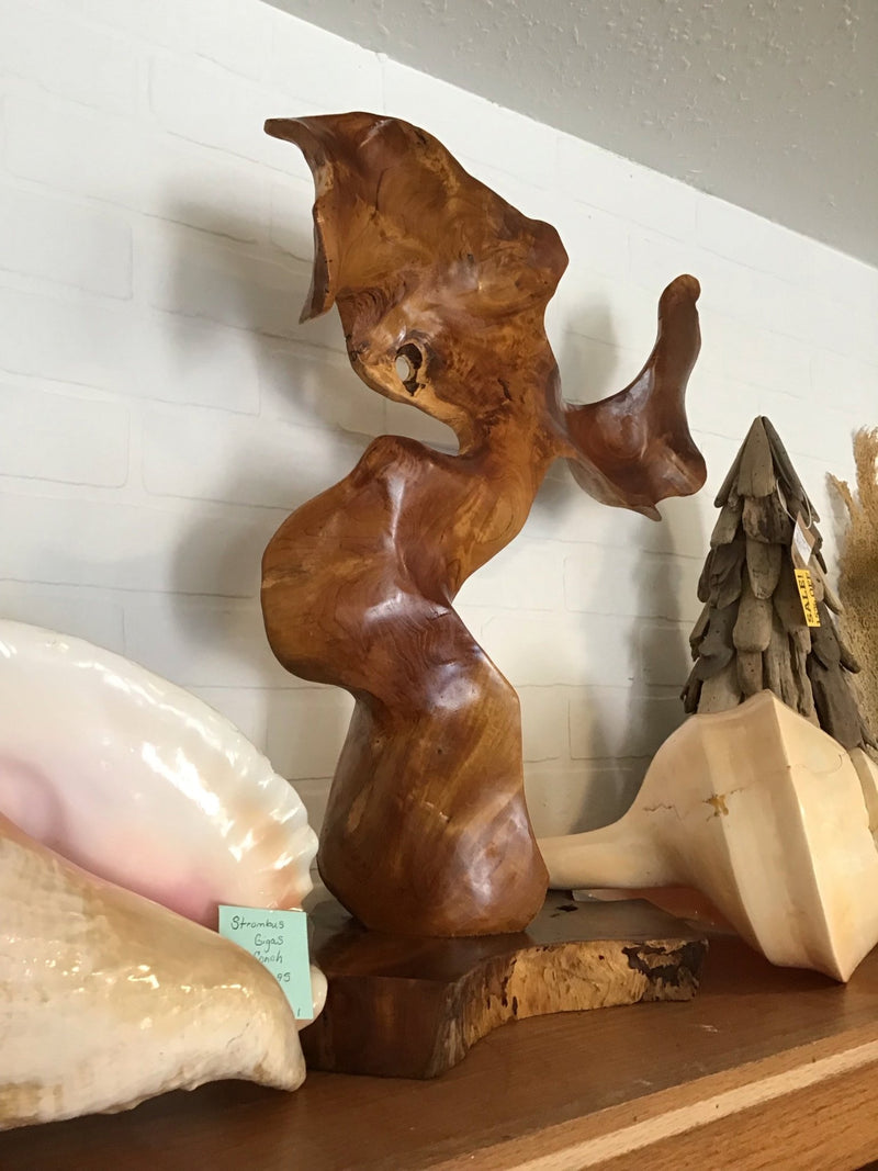 Seaweed Teak Sculpture - Shop Top