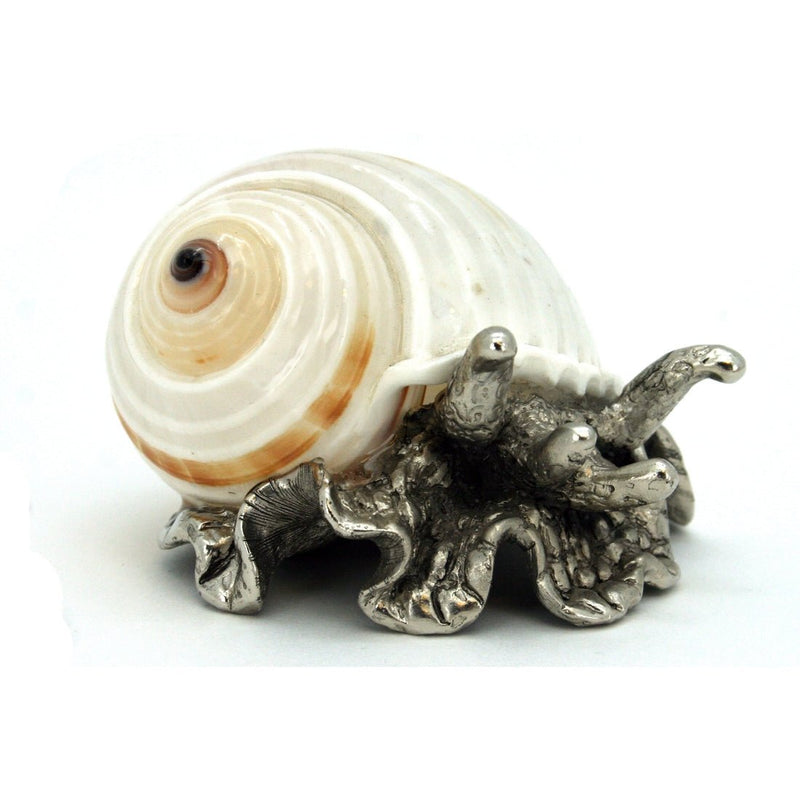 Stripped Tonna with Pewter Sea Snail - Modern Coastal by Contrast Inc.