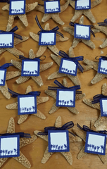 Sugar Starfish Wedding Favors with Custom Escort Card - Wedding favorsLoving Coastal Living