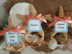 Sugar Starfish Wedding Favors with Custom Escort Card - Wedding favorsLoving Coastal Living