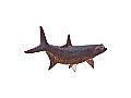 Tarpon Fish Wall Sculpture Resin, Copper Patina Finish - Wall DecorPhillips Collection