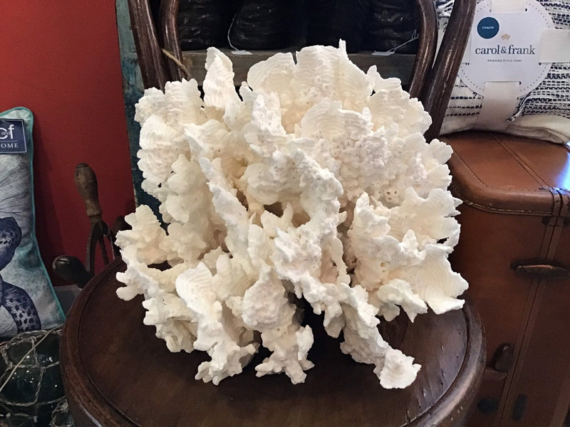 Unique Vintage White Rugosa Coral Loving Coastal Living - Vintage Coral Pieces, Perfect for Display
