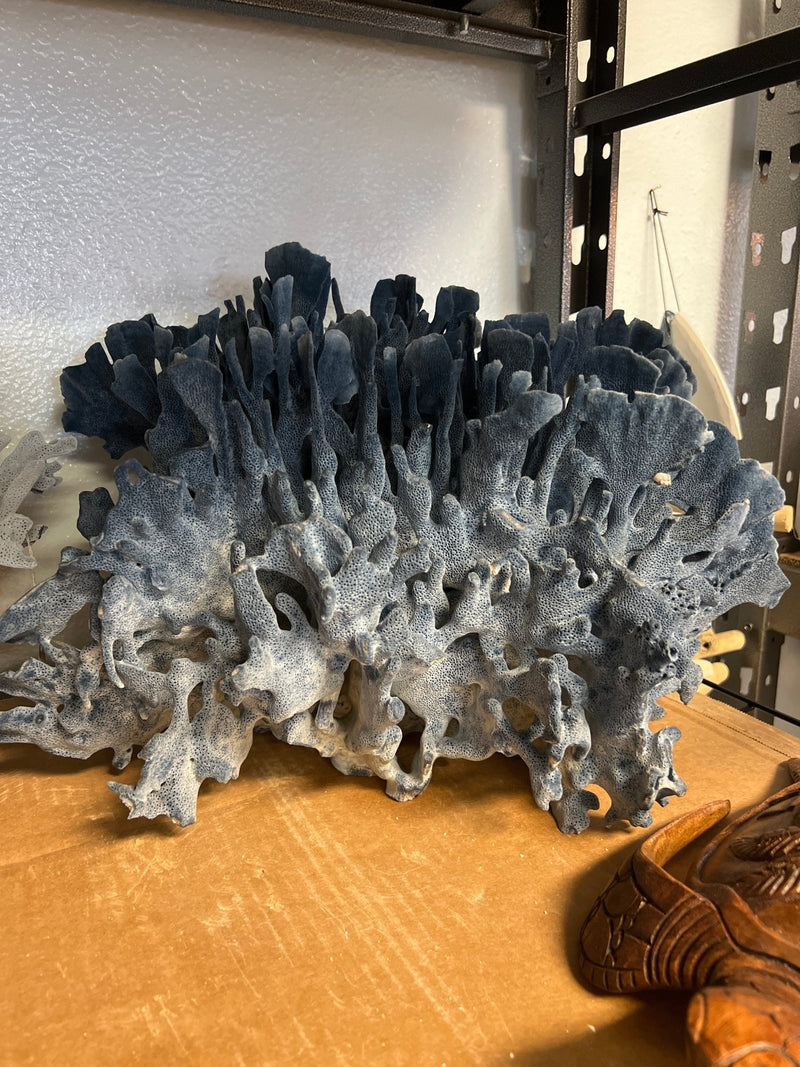 Vintage Blue Ridge Coral - 18" - coralTideline