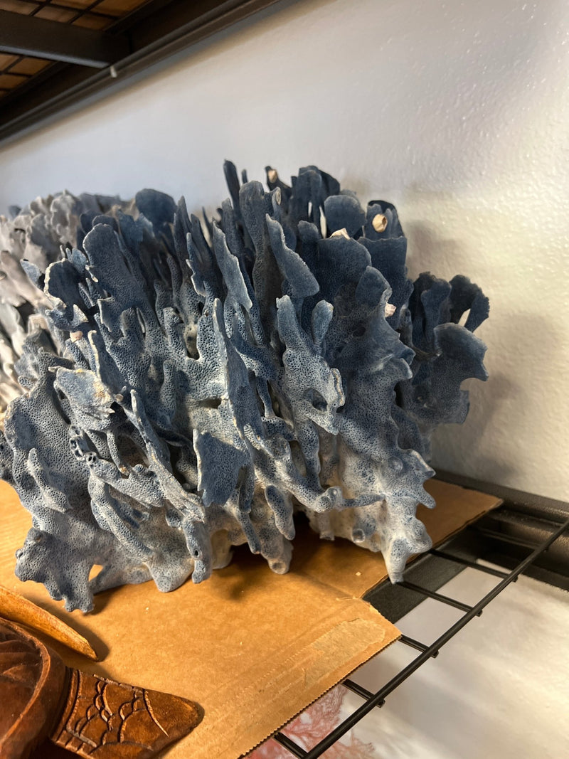 Vintage Blue Ridge Coral - 18" - coralTideline
