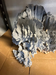 Vintage Blue Ridge Coral - 19