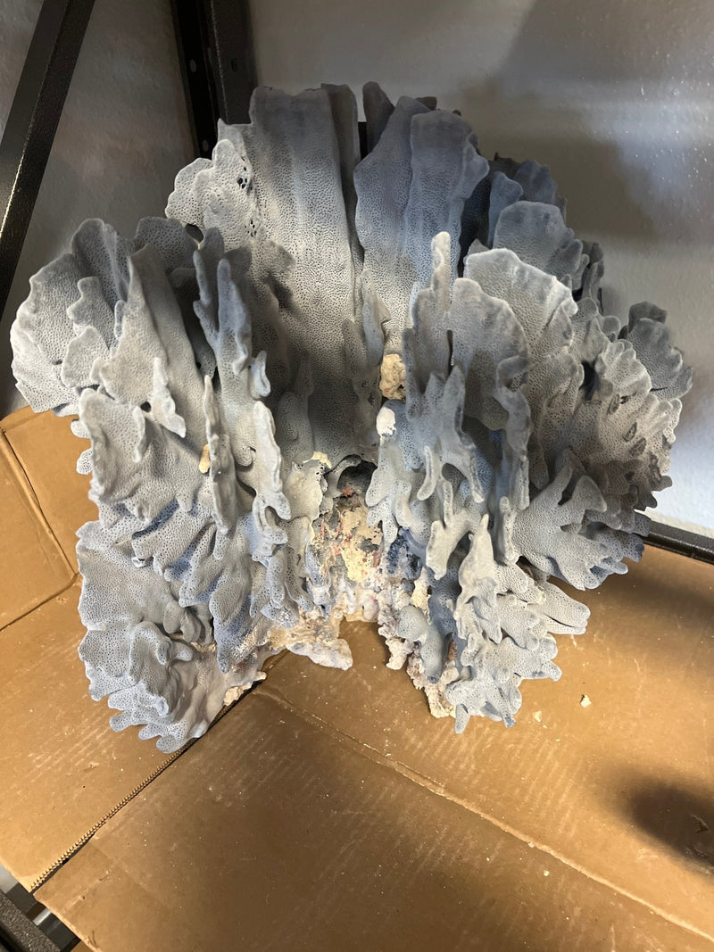 Vintage Blue Ridge Coral - 19" - coralTideline