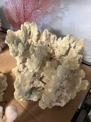 Vintage Fire Green Slab Coral - 16