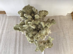 Vintage Fire Green Slab Coral - 9.5