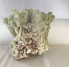 Vintage Fire Green Slab Coral - 9.5