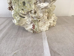 Vintage Fire Green Slab Coral - 9.5