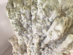 Vintage Fire Green Slab Coral - 9.5