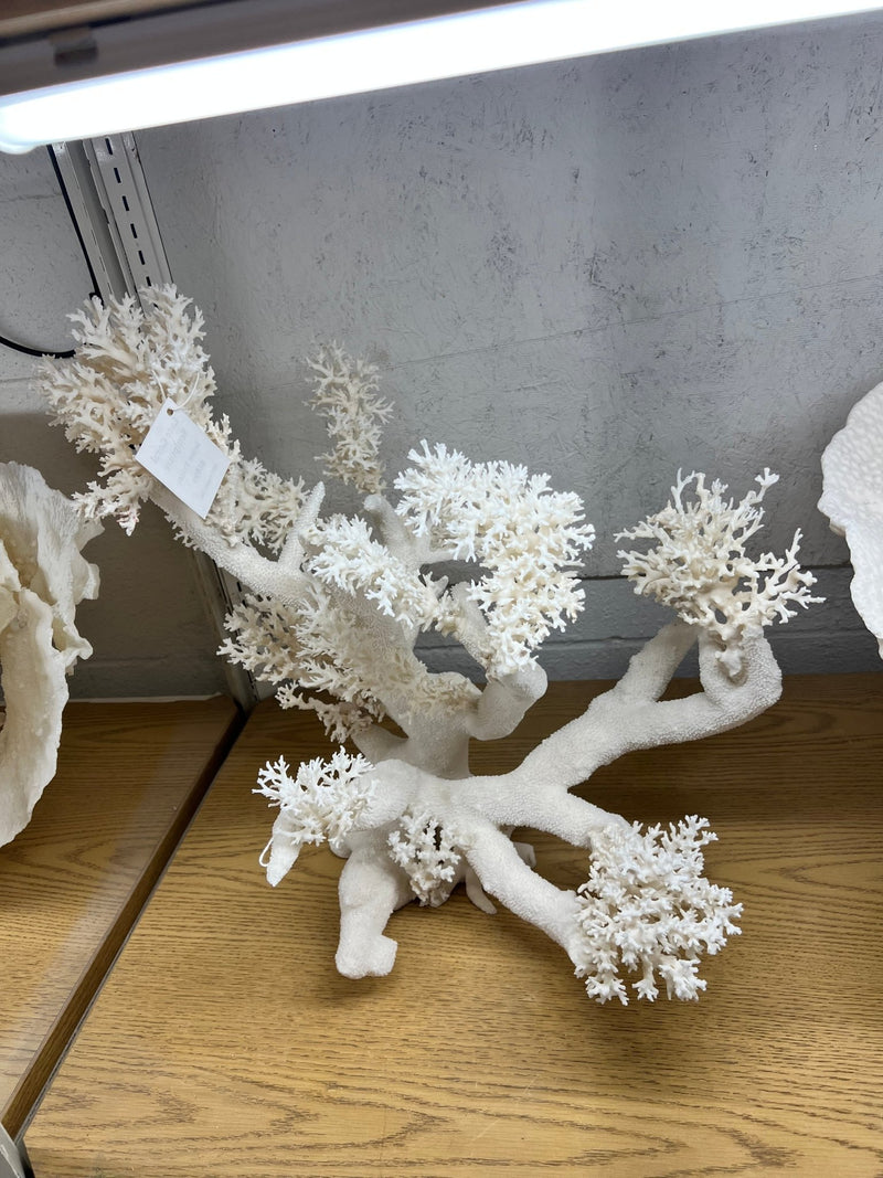 Vintage Lace Coral Sculpture - 20" - coralTideline