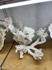 Vintage Lace Coral Sculpture - 20
