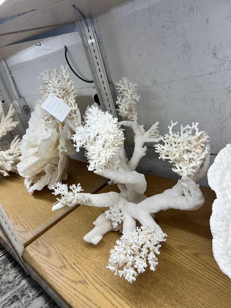 Vintage Lace Coral Sculpture - 20" - coralTideline