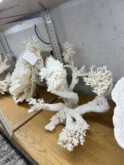 Vintage Lace Coral Sculpture - 20