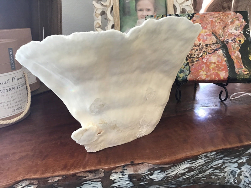 Vintage Off White Black Cup Coral Bowl CC77 - 1 - OR - coralTideline