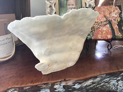 Vintage Off White Black Cup Coral Bowl CC77 - 1 - OR - coralTideline