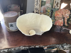 Vintage Off White Black Cup Coral Bowl CC77 - 1 - OR - coralTideline