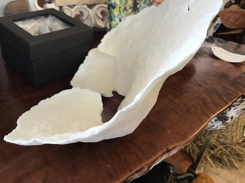 Vintage Off White Black Cup Coral CC77 - 3 - OR Bowl - CoralTideline