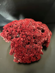 Vintage Red Pipe Coral - 12