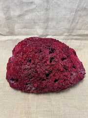Vintage Red Pipe Coral - 19