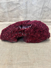 Vintage Red Pipe Coral - 19