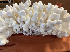 Vintage White 19