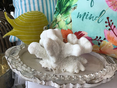 Vintage White Catspaw Coral - 8.5