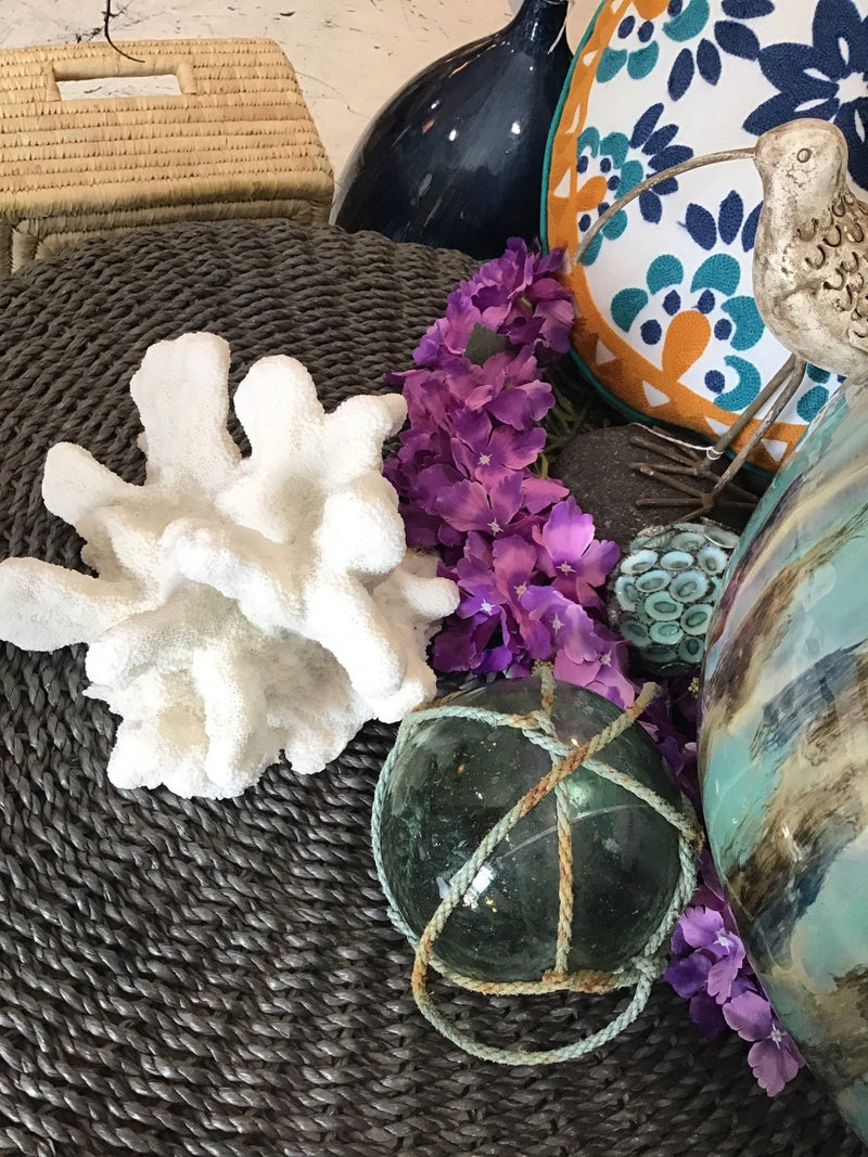 Vintage White Catspaw Coral - 8.5" - coralTideline