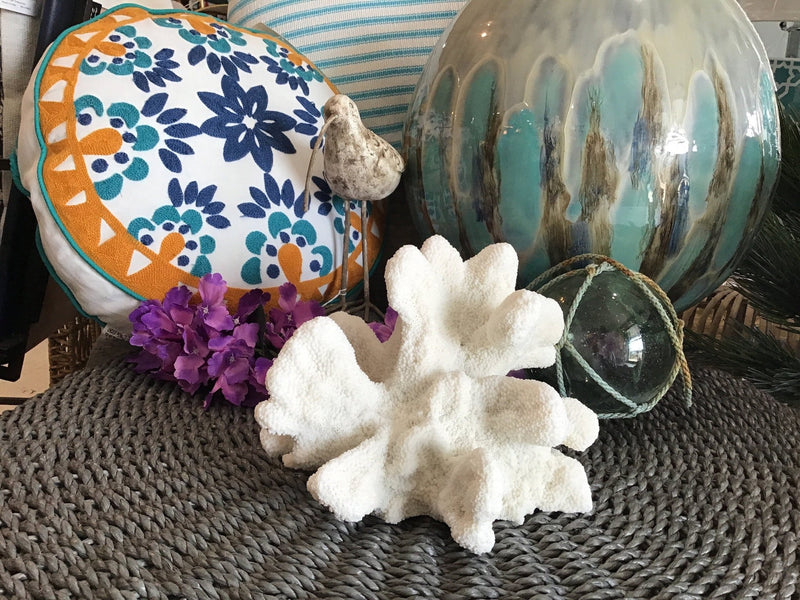Vintage White Catspaw Coral - 8.5" - coralTideline