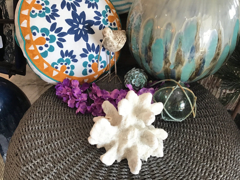 Vintage White Catspaw Coral - 8.5" - coralTideline
