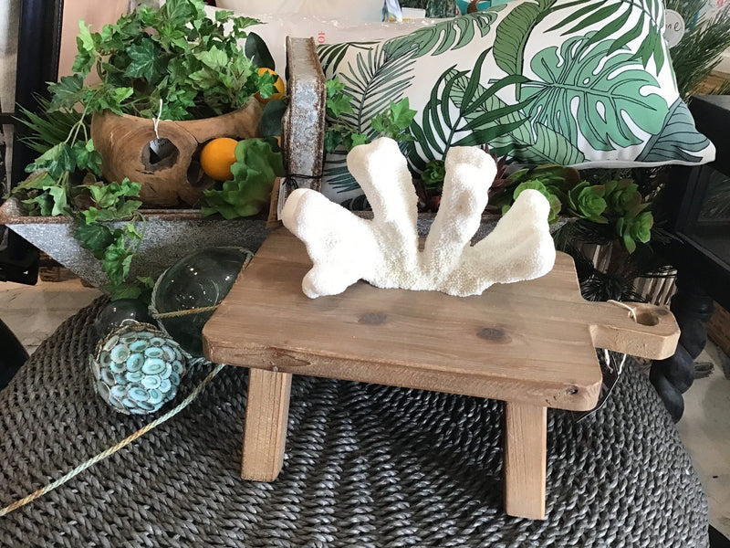 Vintage White Catspaw Coral - 9" - coralTideline