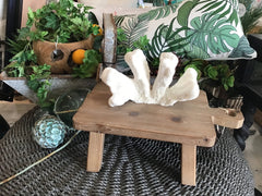 Vintage White Catspaw Coral - 9