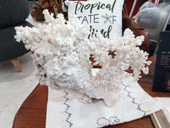 Vintage White Octopus Coral - 18