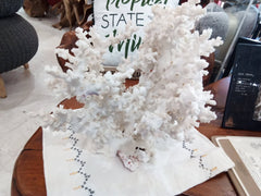 Vintage White Octopus Coral - 18