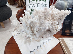 Vintage White Octopus Coral - 18