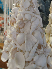 White Seashell Tree with Real Knobby Starfish Top - Loving Coastal Living