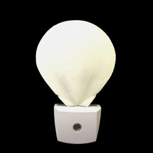 White Sun Moon Scallop Shell LED Night Light - NightlightTideline