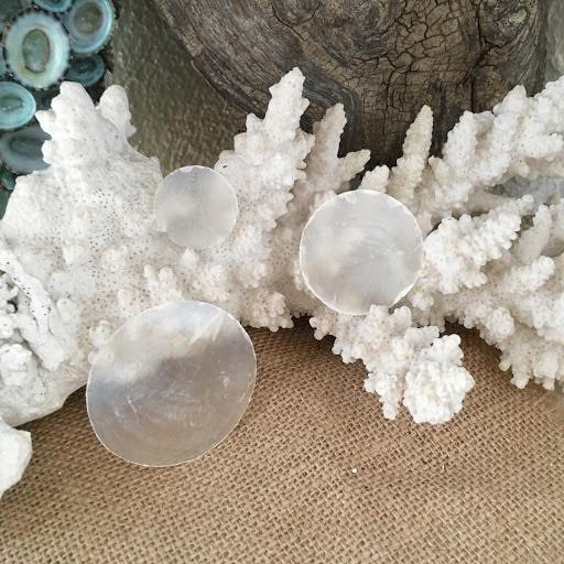 Whole Capiz Shell Rounds - Loving Coastal Living