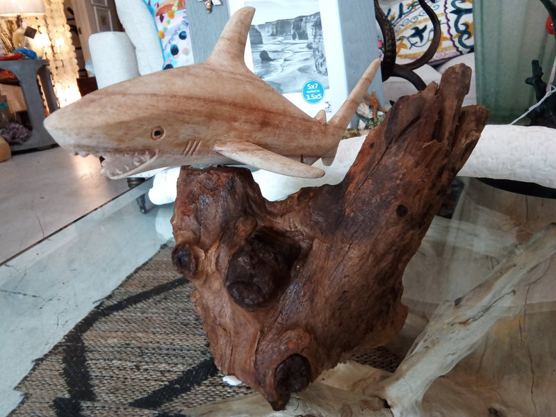 Wooden Single Shark Sculpture - SculptureShell Horizons