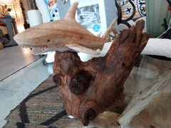 Wooden Single Shark Sculpture - SculptureShell Horizons