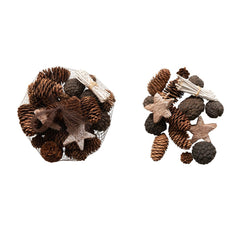 Dried Natural Pinecones, Pods & Stars